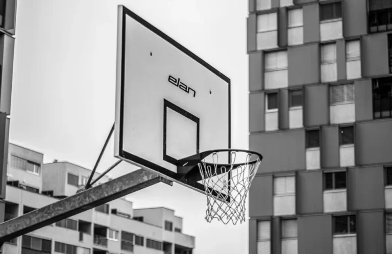 Panier de streetball extérieur et panneau de basket - Le manifeste HOOPS63